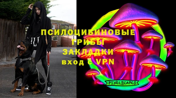 PSILOCYBIN Нея
