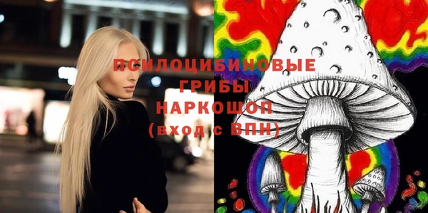хмурый Нефтекумск