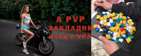 хмурый Нефтекумск