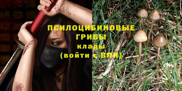 PSILOCYBIN Нея