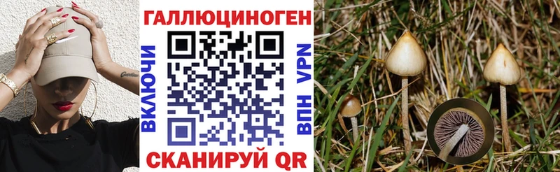 Псилоцибиновые грибы GOLDEN TEACHER  Купить  Артём 